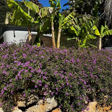 Villa Marbesa